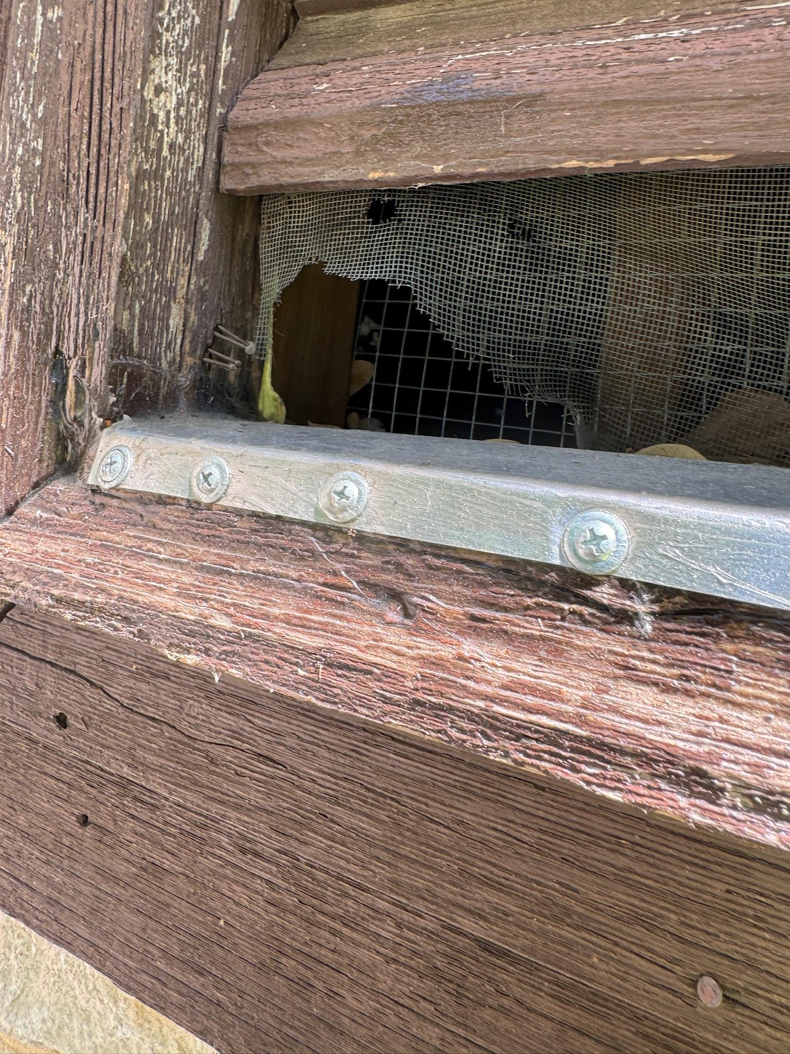 Wire mesh covering an opening in weathered exterior wood