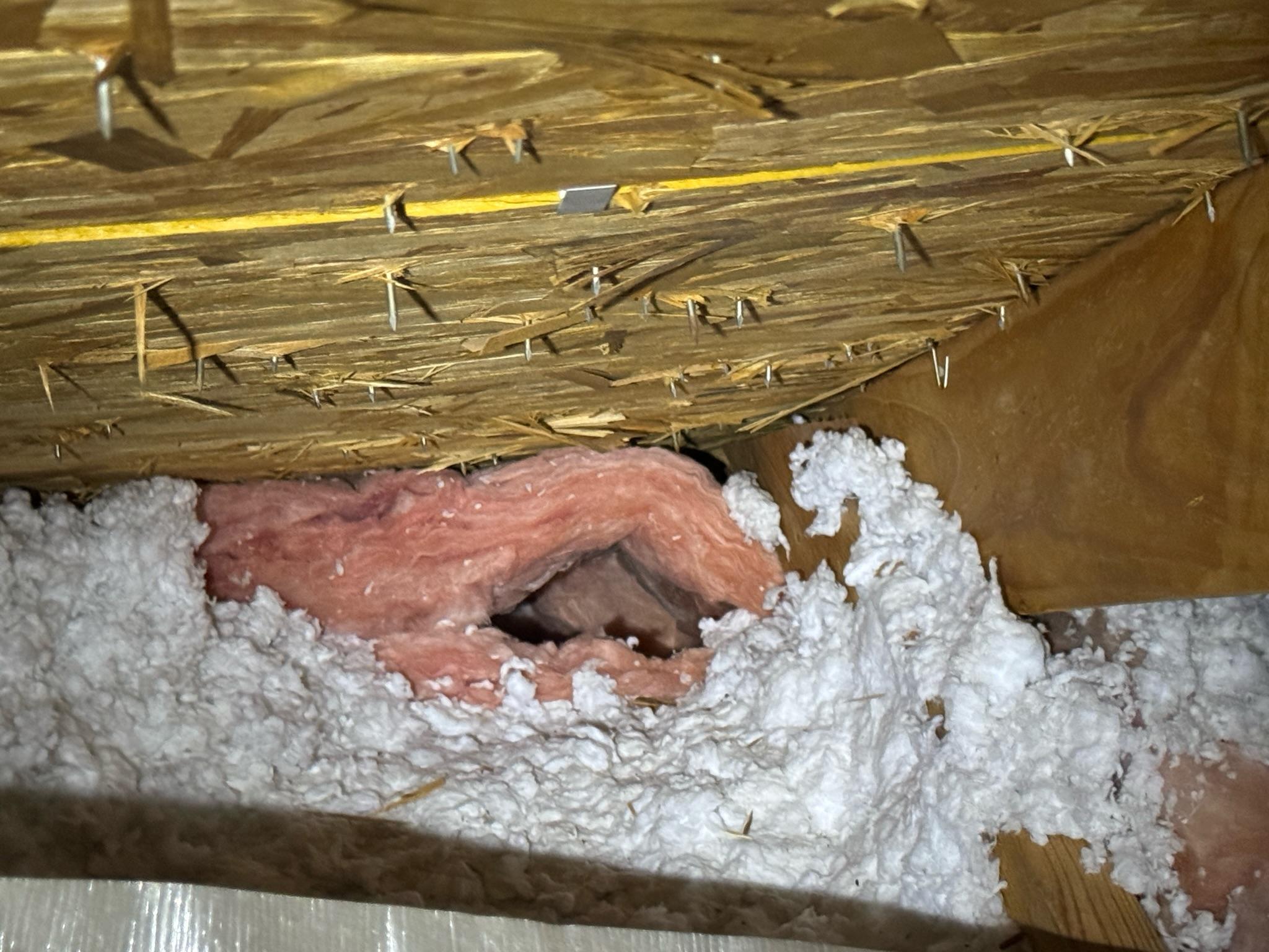 Disturbed fiberglass and loose-fill insulation beneath attic framing