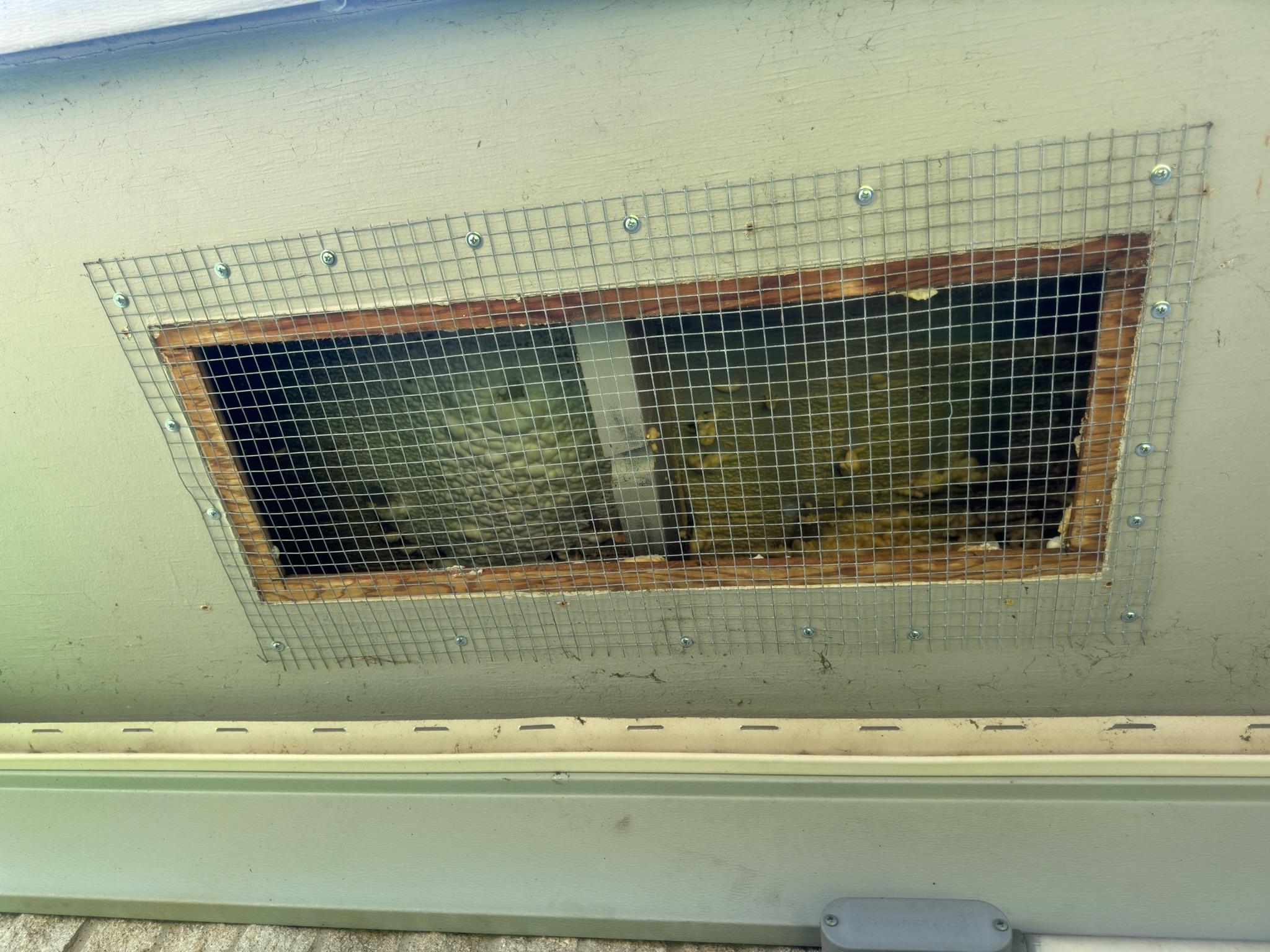 Rectangular soffit opening protected with wire mesh