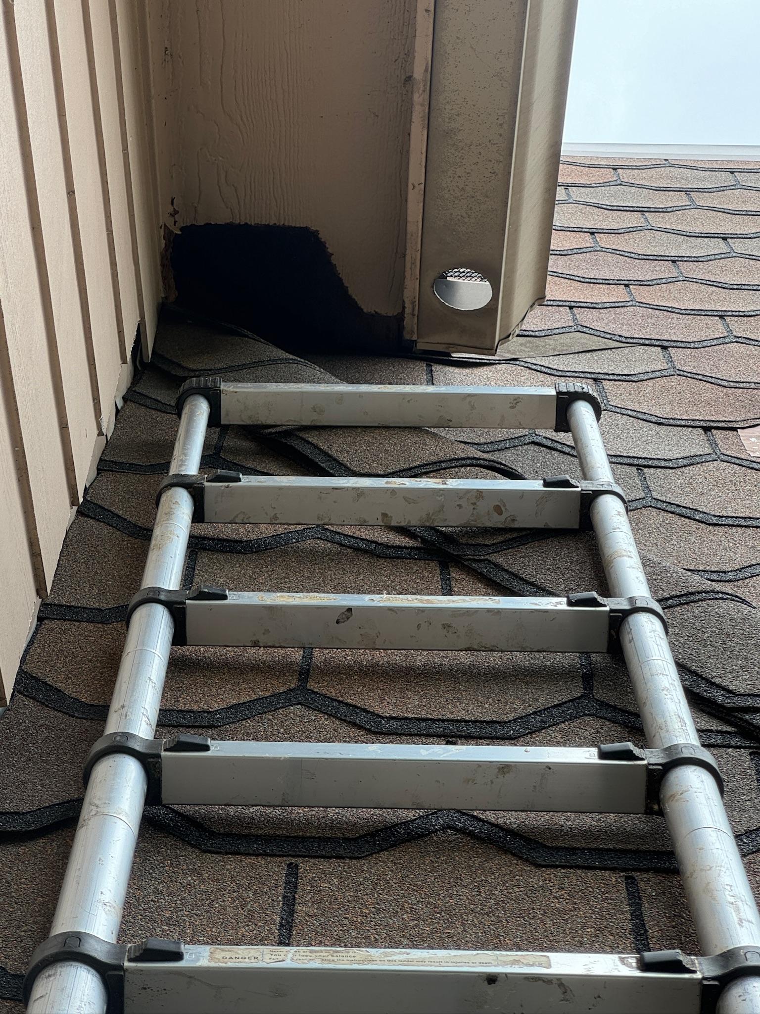 Extension ladder reaching a roof edge beside exterior siding