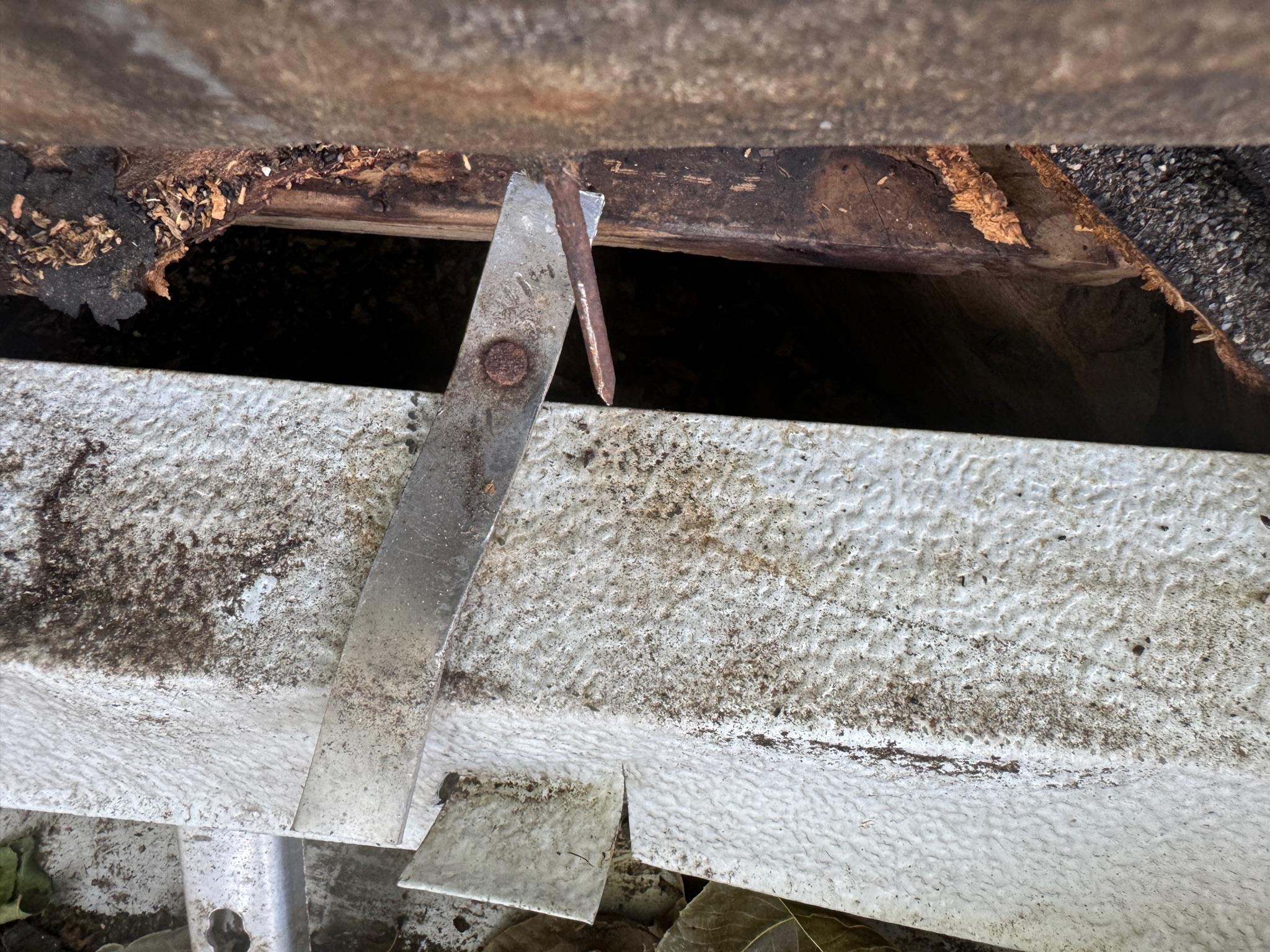 Exposed wood and openings beneath lifted roofing material