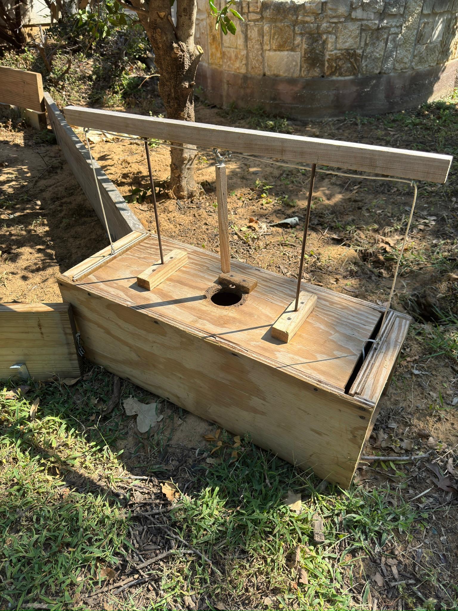 Metal live trap positioned on a wooden platform in a yard