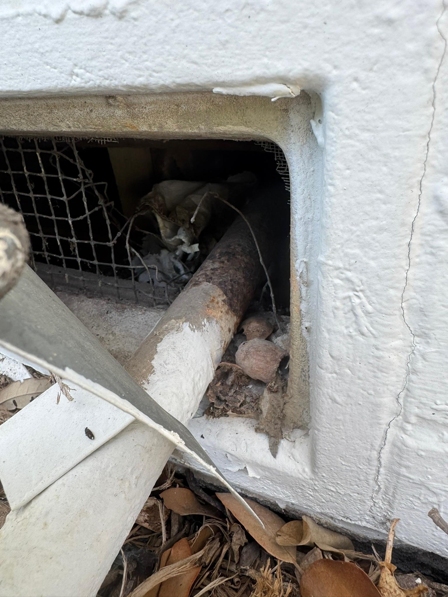 Damaged foundation vent with an opening beside the remaining mesh