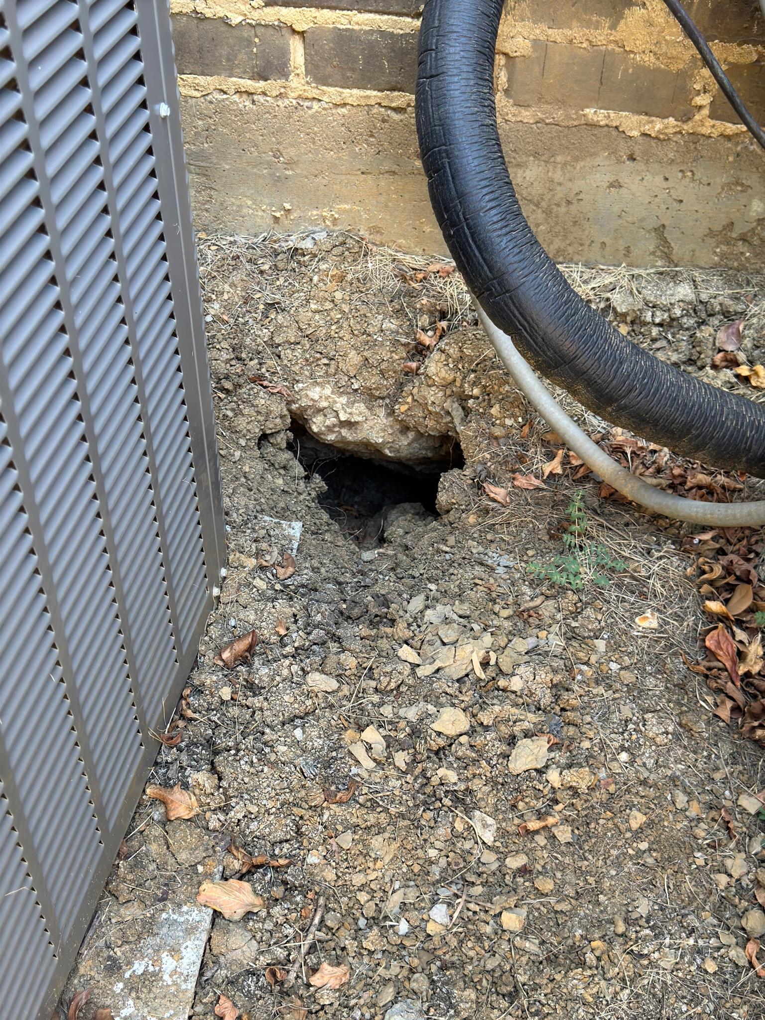 Burrow opening next to an outdoor air-conditioning unit and insulated line