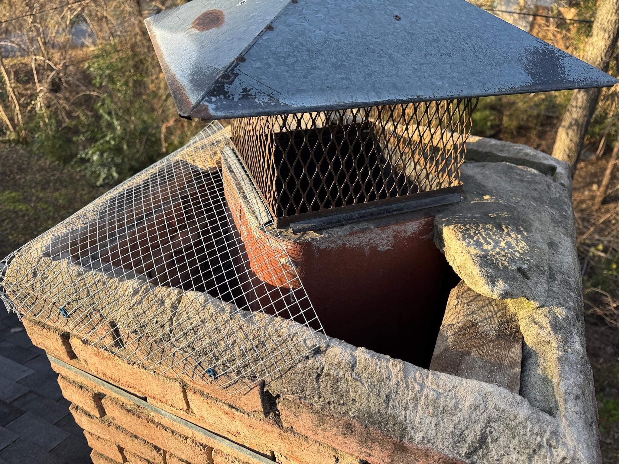 Metal chimney cap and wire mesh over a brick chimney opening
