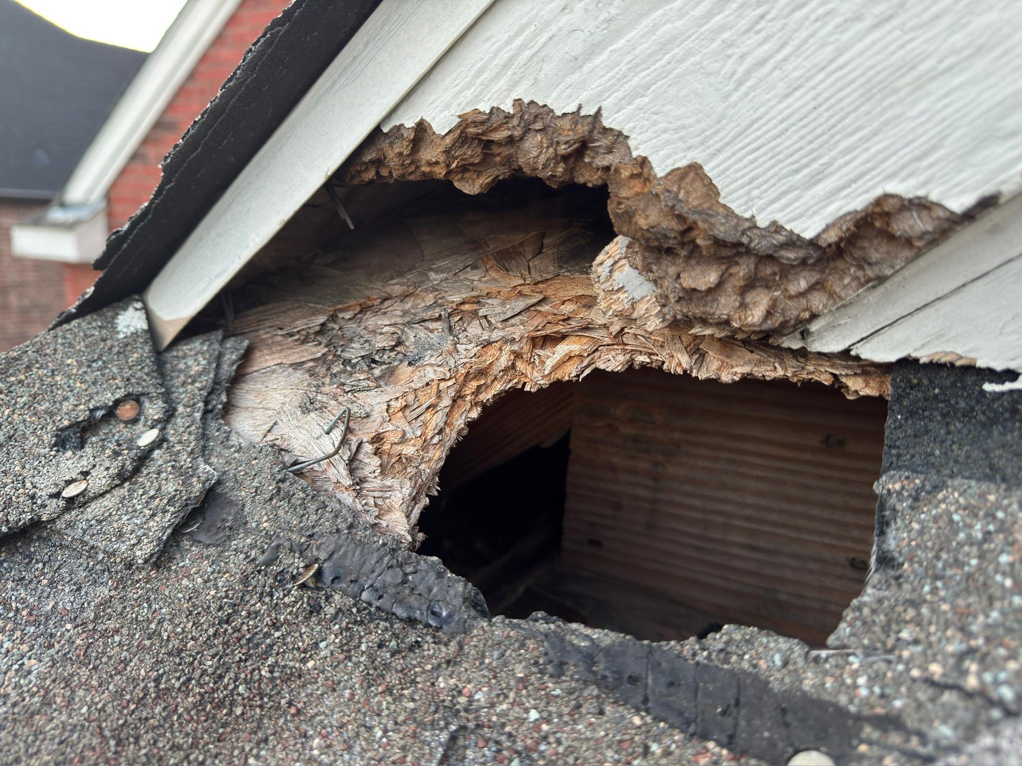 Large irregular opening through exterior wood at the roofline