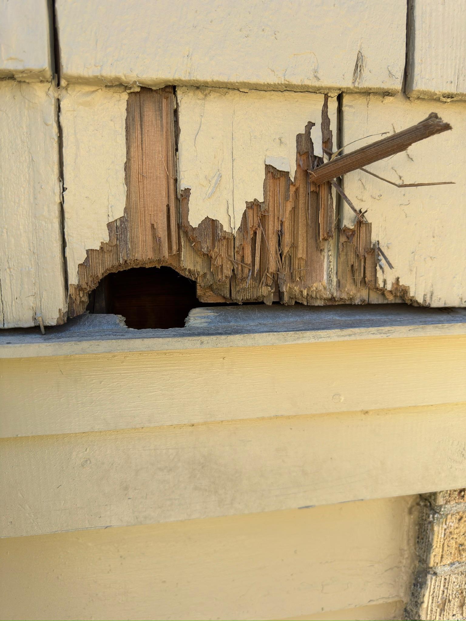 Missing and weathered wood around a hole in exterior siding