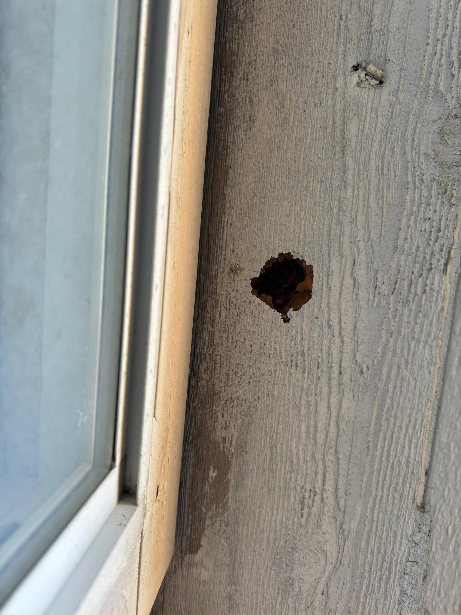 Round opening in exterior siding beside window trim