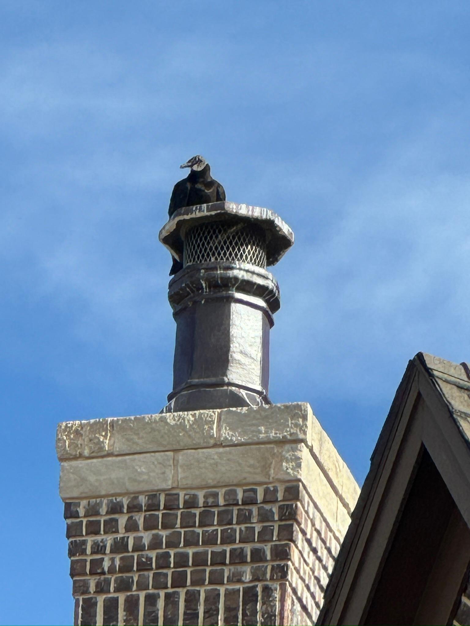 Decorative metal chimney top on a brick chimney against blue sky