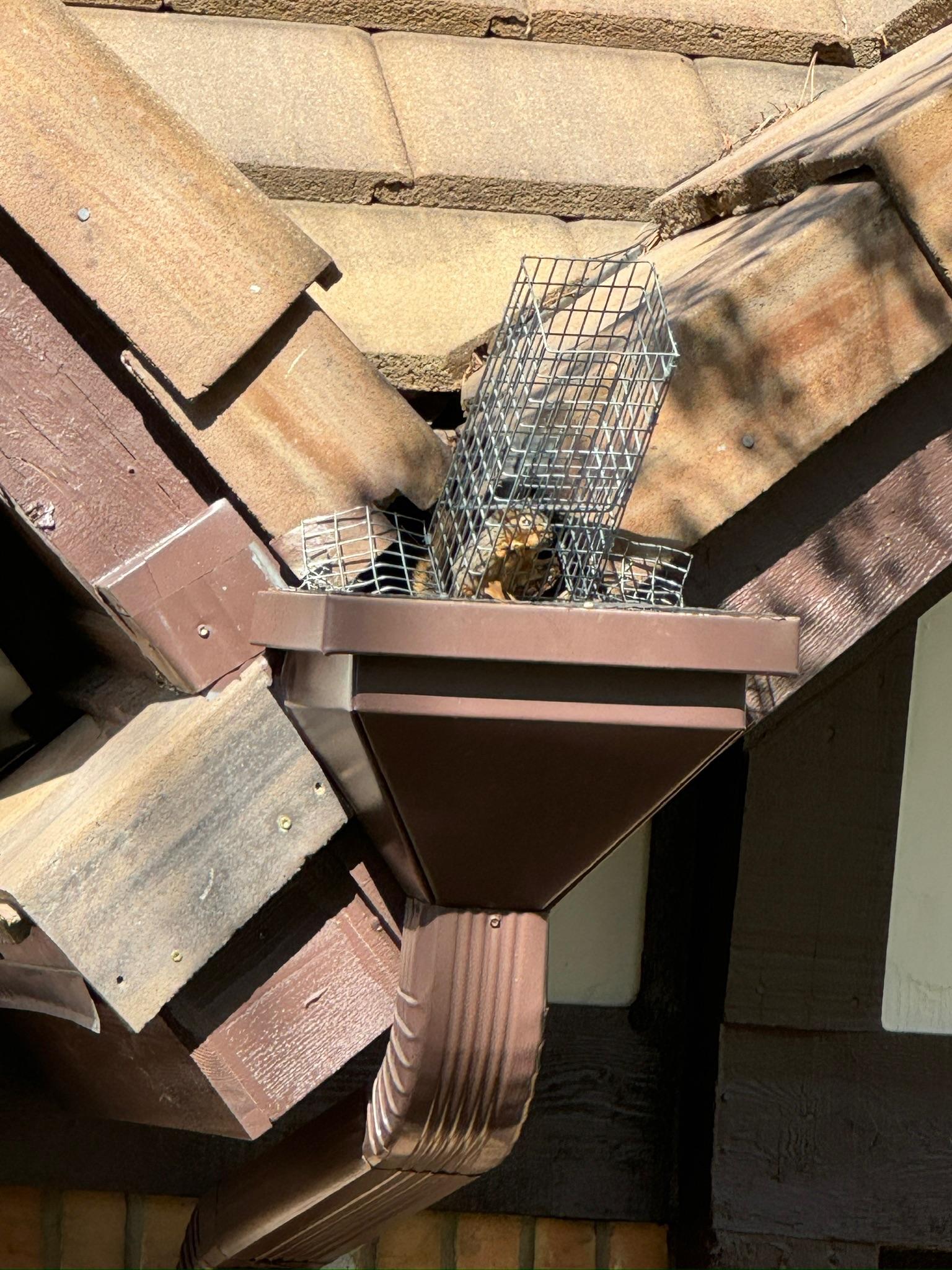 Wire mesh fitted around a gutter and roof junction