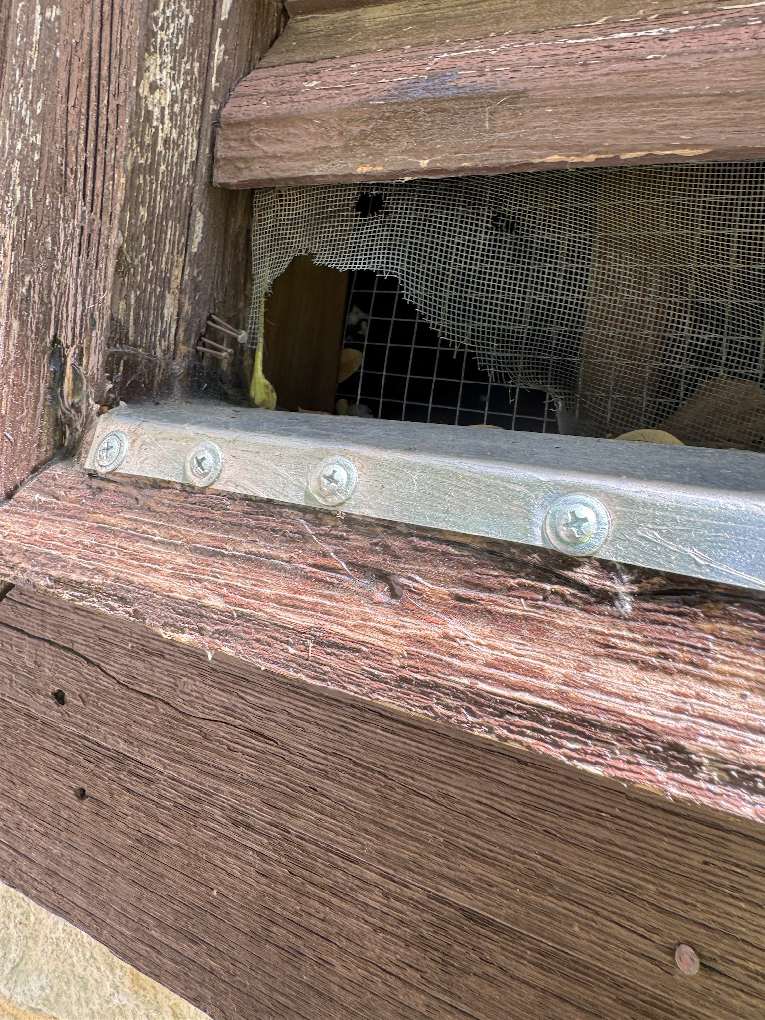 Rescue photo IMG_0151.jpg