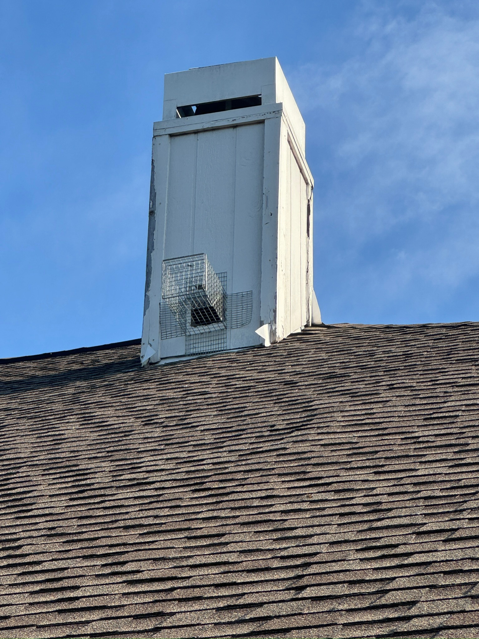 Rescue photo IMG_0775.jpg