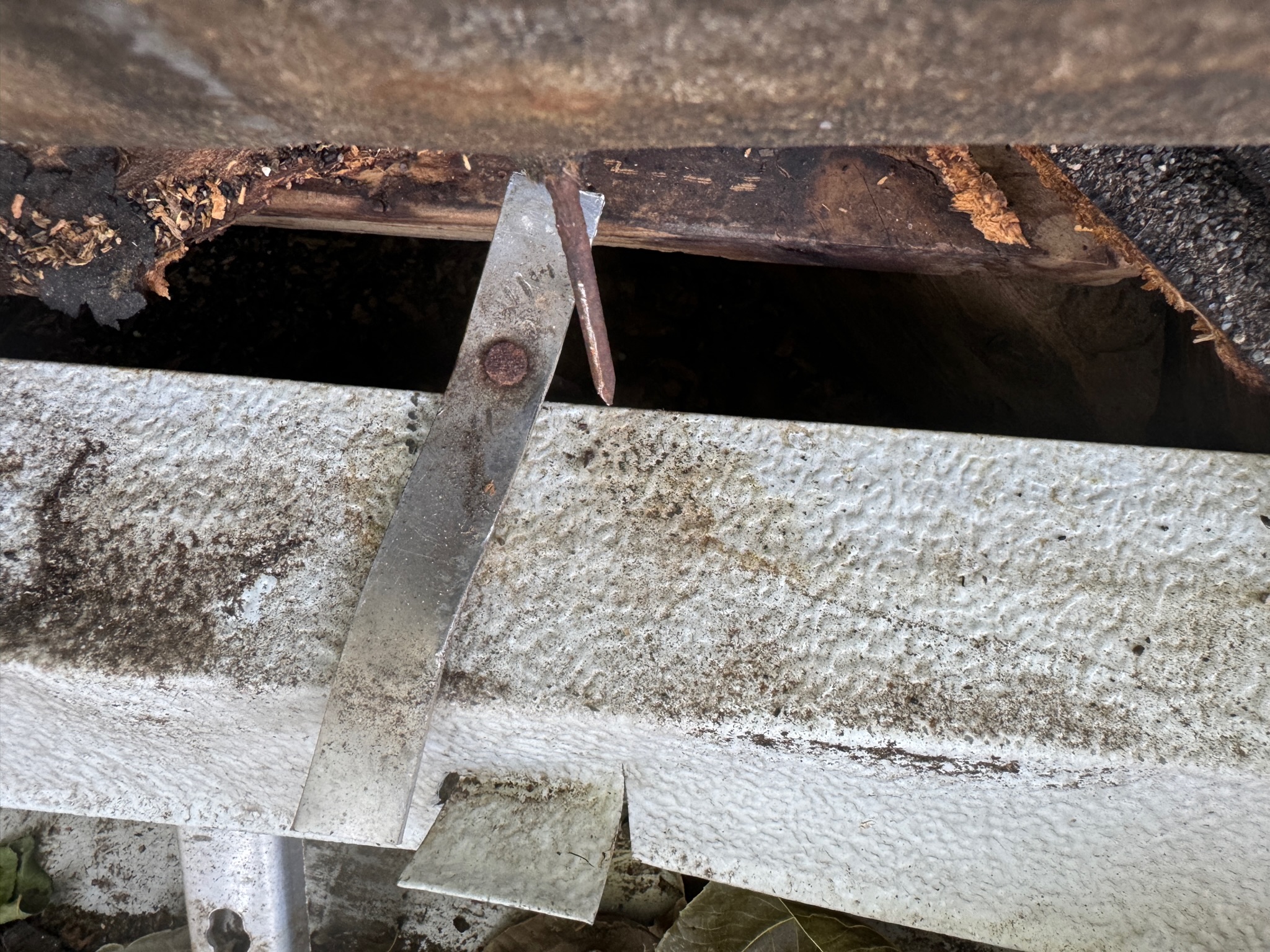 Rescue photo IMG_0970.jpg