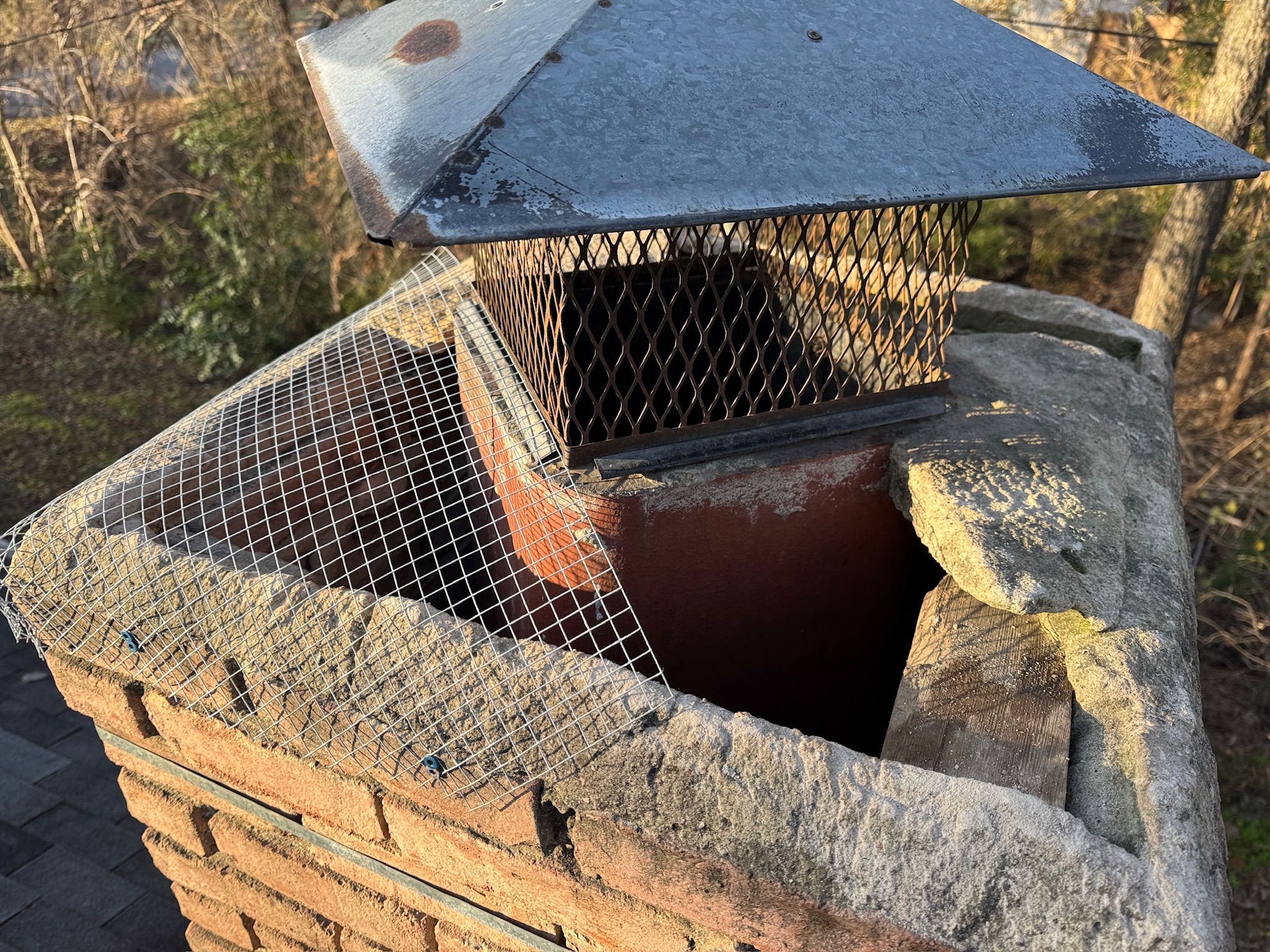 Rescue photo IMG_2841.jpg