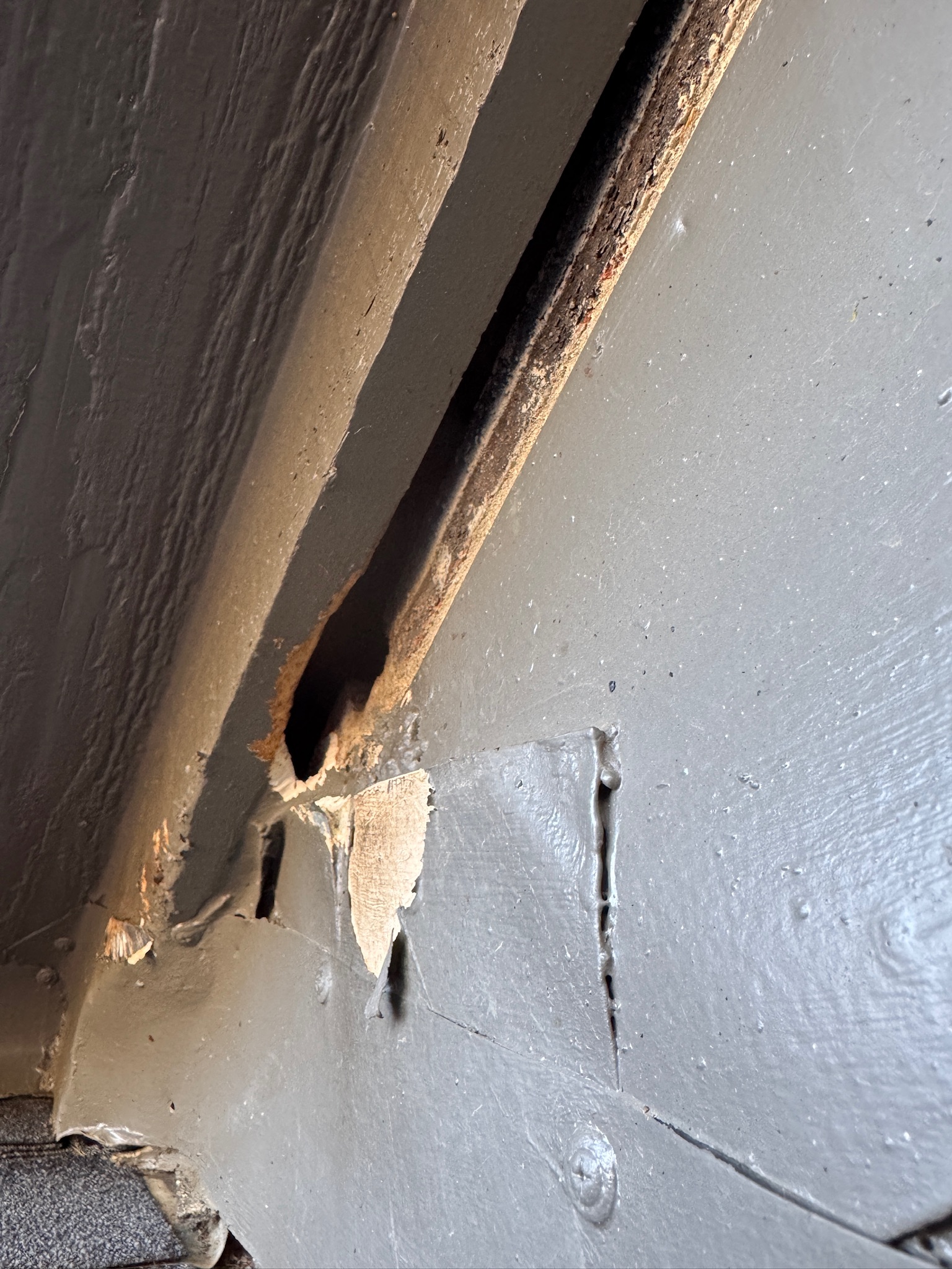 Rescue photo IMG_3206.jpg