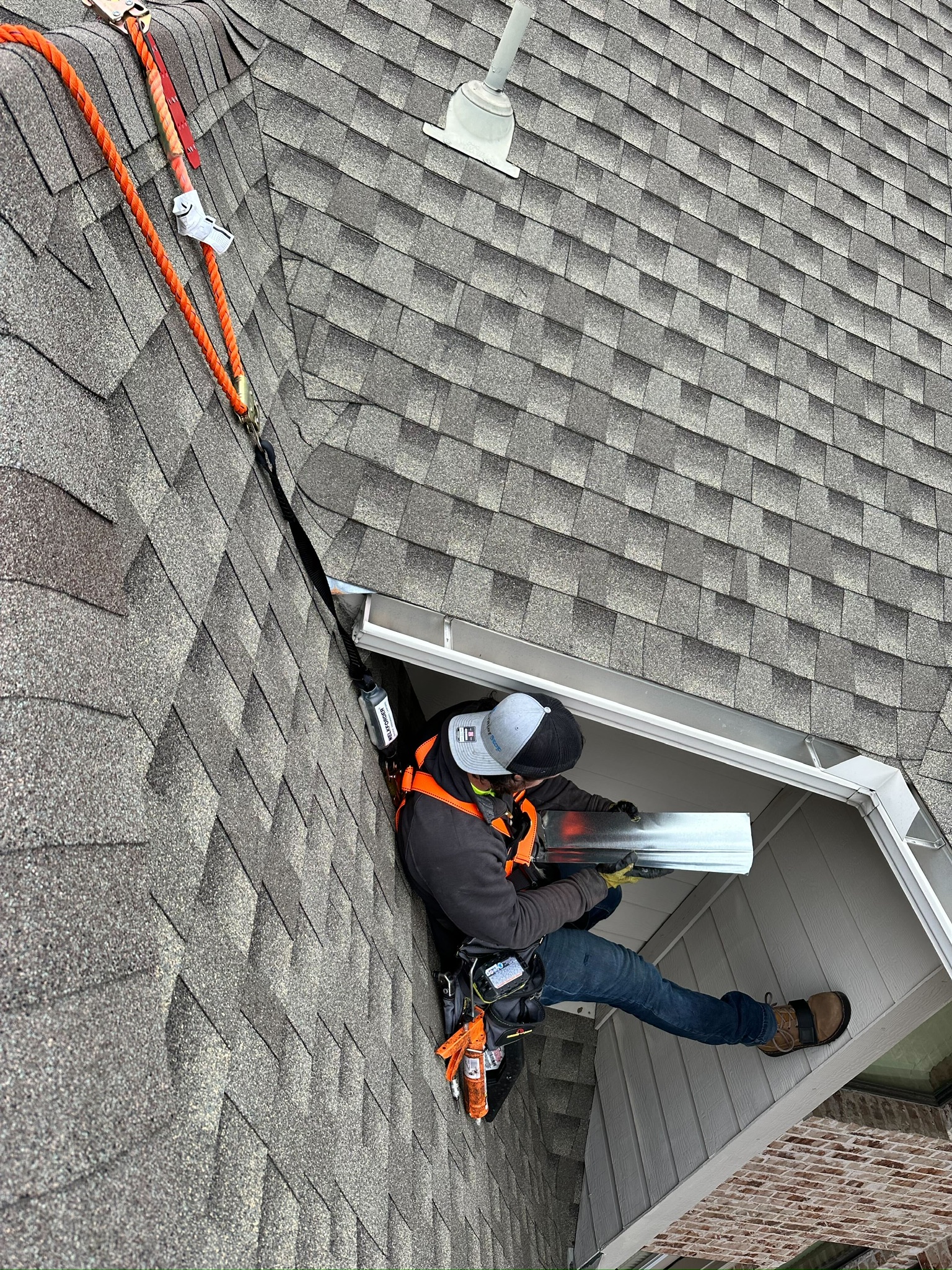 Rescue photo IMG_9060.jpg